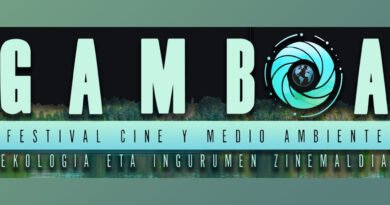 Gamboa Zinemaldia