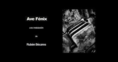 Exposición "Ave Fénix", Rubén Bécares