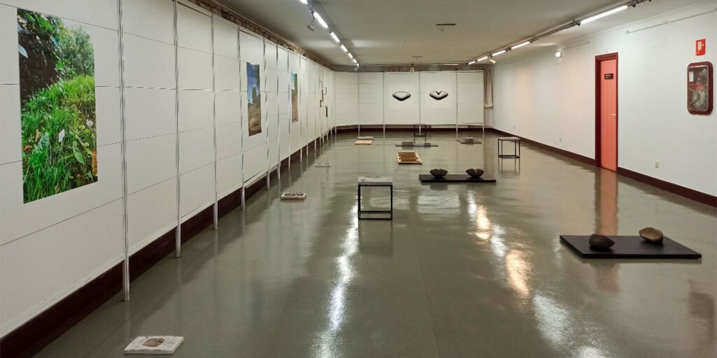 "Semillas raras", exposición de Ohiane Sánchez Duro