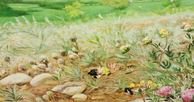 Juan Sagastizabal, Pintura