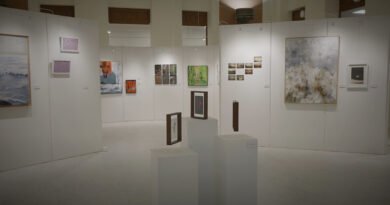 Exposiciones Escuela de Artes y Oficios: Iniciativas y Una Habitación Propia