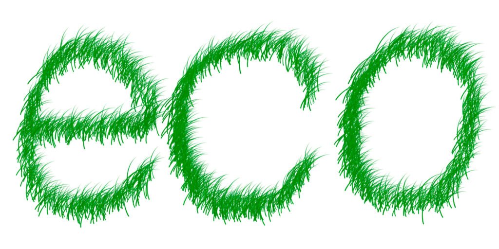 ¿Es realmente accesible vivir de forma ecológica? Reflexiones desde lo cotidiano