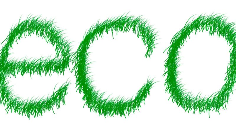 ¿Es realmente accesible vivir de forma ecológica? Reflexiones desde lo cotidiano