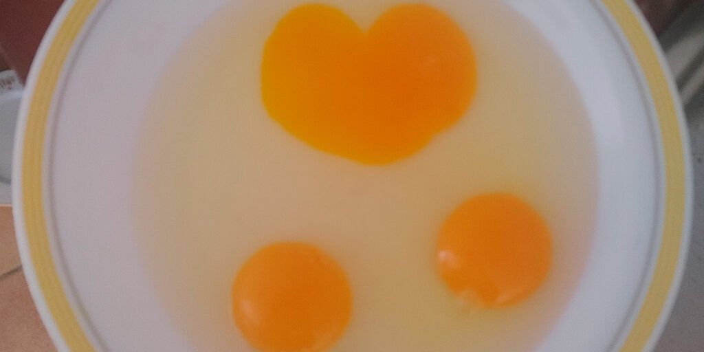 Alimentos orgánicos, ¿si o no?