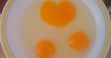 Alimentos orgánicos, ¿si o no?