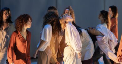 Noches en danza