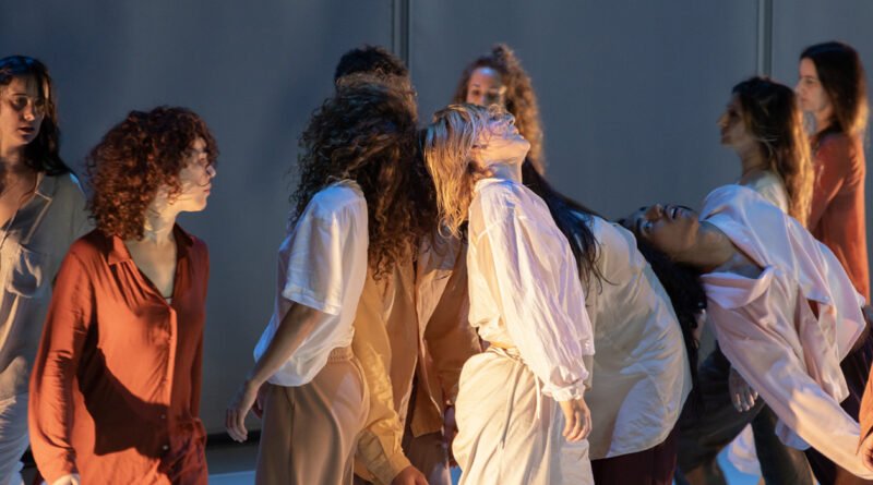 Noches en danza