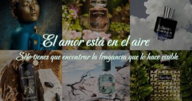 El amor está en el aire