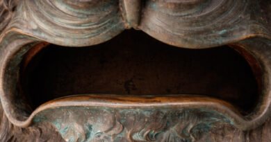 En la boca del león