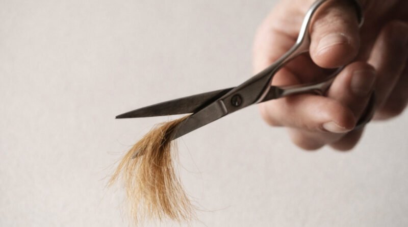 La historia de Nancy Punk