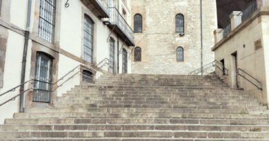 Estética y/o funcionalidad