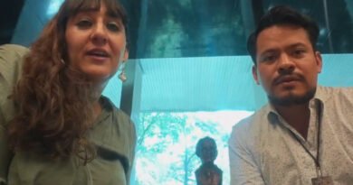 Un hallazgo que reescribe la historia: un investigador mexicano redefine la autoría de una obra clave del linaje Echave