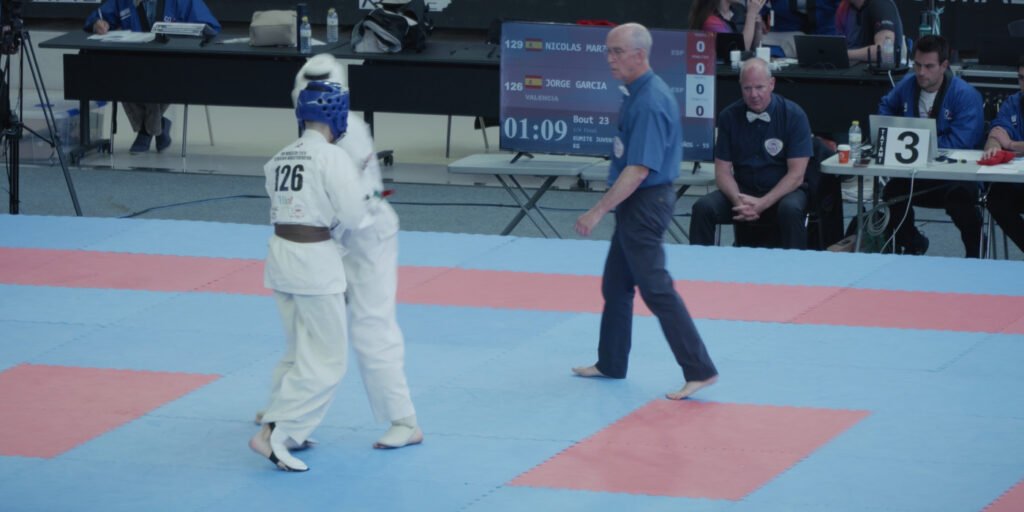 Sinceridad - 2º Campeonato del Mundo de Kyokushin, Vitoria-Gasteiz