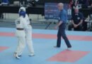 Sinceridad - 2º Campeonato del Mundo de Kyokushin, Vitoria-Gasteiz