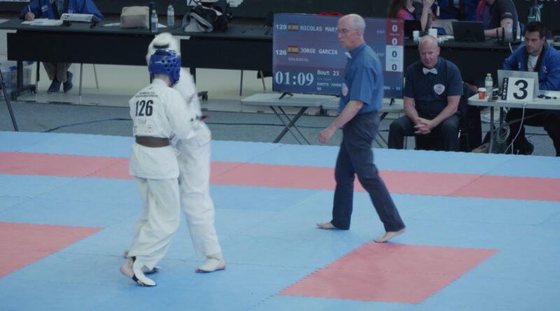 Sinceridad - 2º Campeonato del Mundo de Kyokushin, Vitoria-Gasteiz