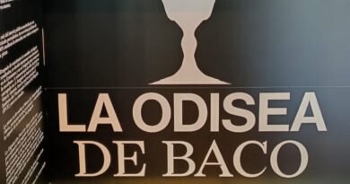 Baco regresa a casa: el tesoro romano de Arkaia que vuelve a mirar a Álava
