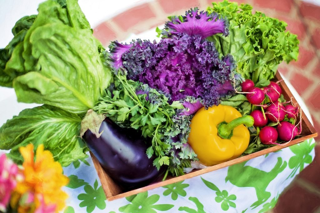 Frutas y hortalizas recién recogidas