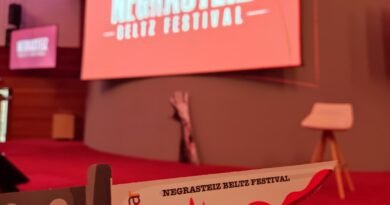 Crónica de una reportera en el Negrasteiz (II)